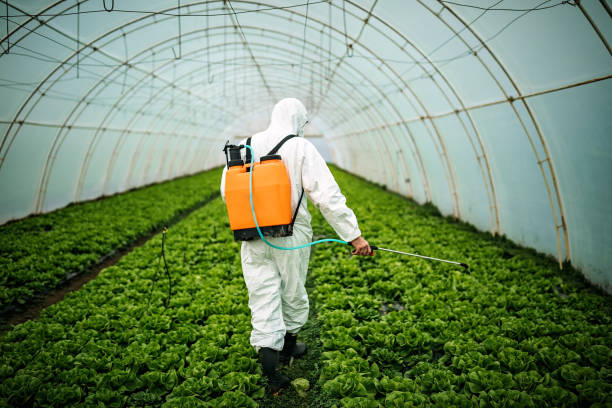 Best Pest Inspection Near Me  in Ponderosa Park, CO