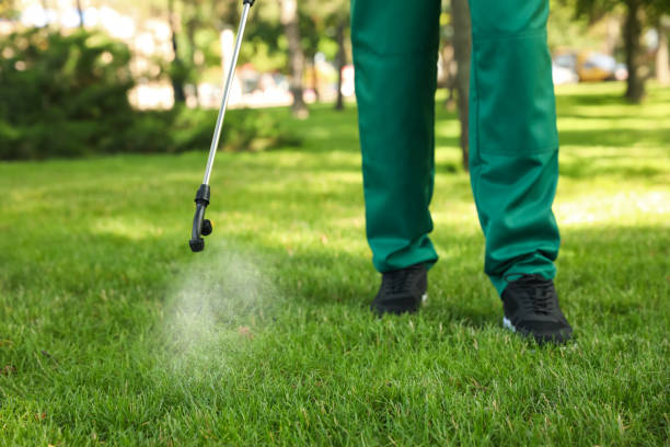 Best Rat Extermination Near Me  in Ponderosa Park, CO