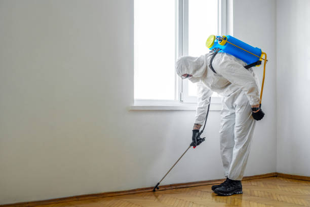 Best Pest Control Near Me in Ponderosa Park, CO