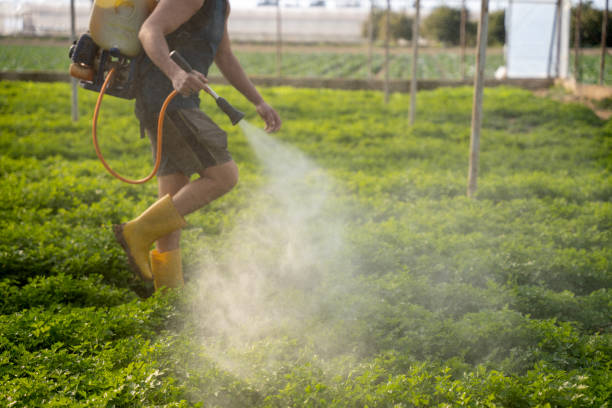 Best Best Pest Control Companies  in Ponderosa Park, CO