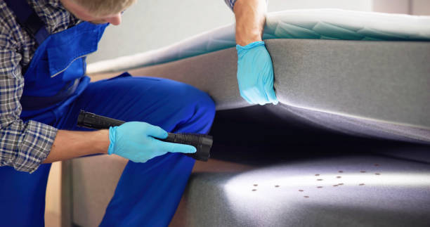 Pest Control Cost in Ponderosa Park, CO